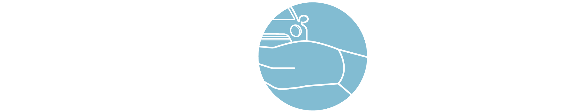 Leasing MINI – Acquisto